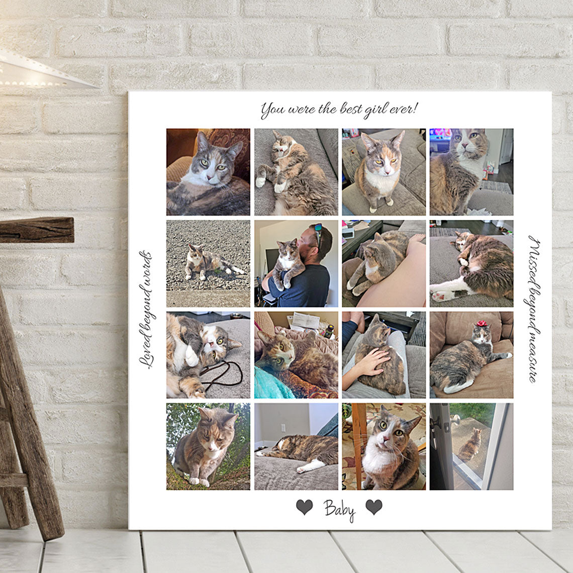 Pet Memorial Photo Collage Canvas