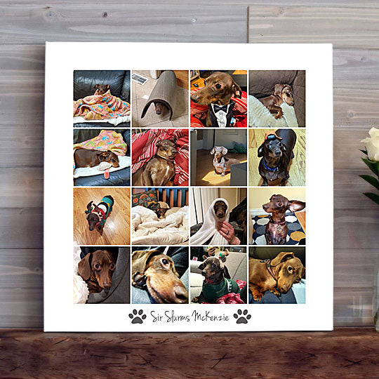 Pet Memorial Photo Collage Canvas